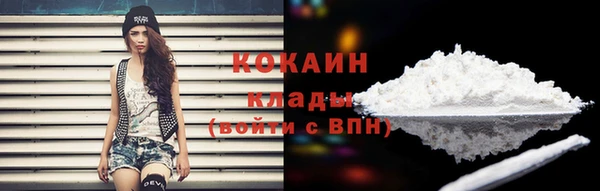 твердый Белая Холуница