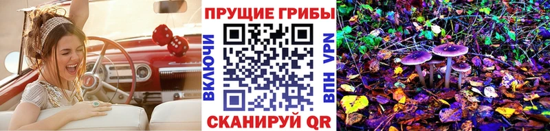 цена наркотик  Стрежевой  Галлюциногенные грибы GOLDEN TEACHER 