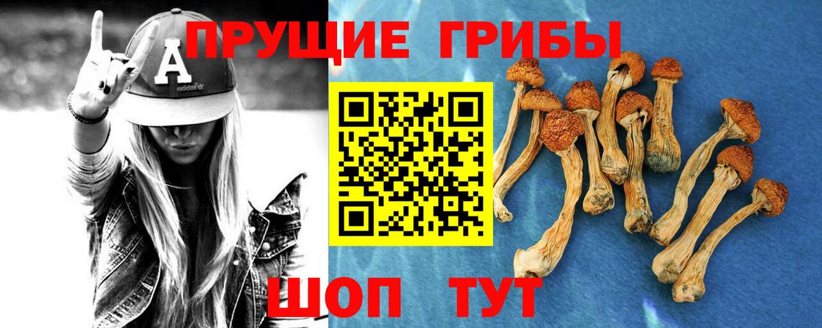 Галлюциногенные грибы прущие грибы Стрежевой