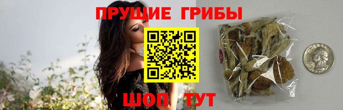 Галлюциногенные грибы GOLDEN TEACHER  Галлюциногенные грибы GOLDEN TEACHER  Стрежевой 